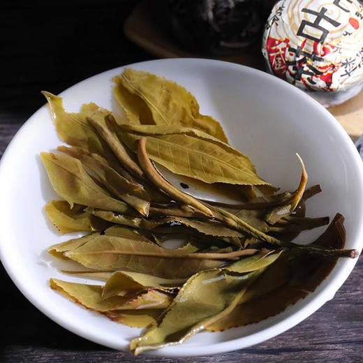 沧元古茶 珍藏龙珠 普洱生茶 古树纯料 商品图3