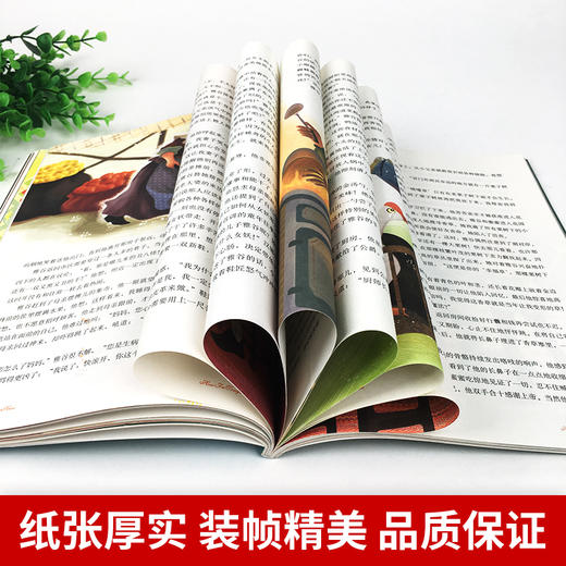 豪夫童话 打动孩子心灵的世界经典 外国儿童文学名著 商品图1