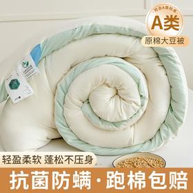 【抗菌除螨！原棉大豆被！】A类母婴抗菌原棉大豆纤维被子 加厚保暖被冬被芯 学生春秋棉被