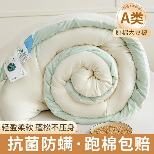 【抗菌除螨！原棉大豆被！】A类母婴抗菌原棉大豆纤维被子 加厚保暖被冬被芯 学生春秋棉被 商品图0