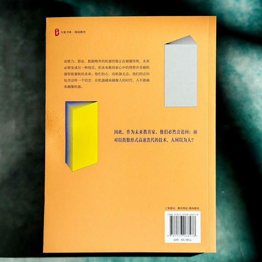 思辨性阅读 AI时代的教与学 大夏书系 阅读教育 刘莘 商品图2
