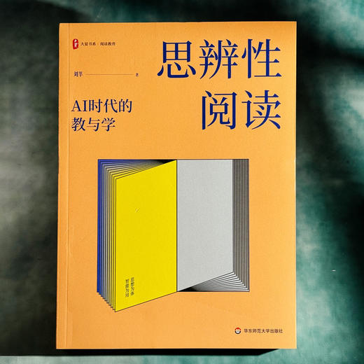 思辨性阅读 AI时代的教与学 大夏书系 阅读教育 刘莘 商品图1