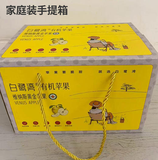【厂商直发】有机维纳斯黄金苹果果肉脆甜多汁果型饱满新鲜采摘包邮 商品图6