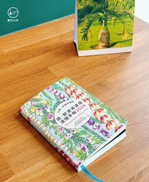 现货｜限量清理工具｜2026修蓝博士正品荷欧波诺波诺清理手帐笔记本（2色可选） 商品图5