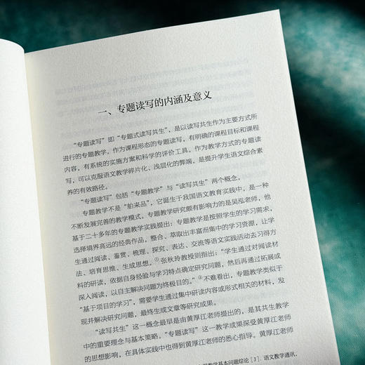 专题读写课 打破阅读与写作的藩篱 大夏书系 语文之道 徐飞 写作教学设计 商品图7