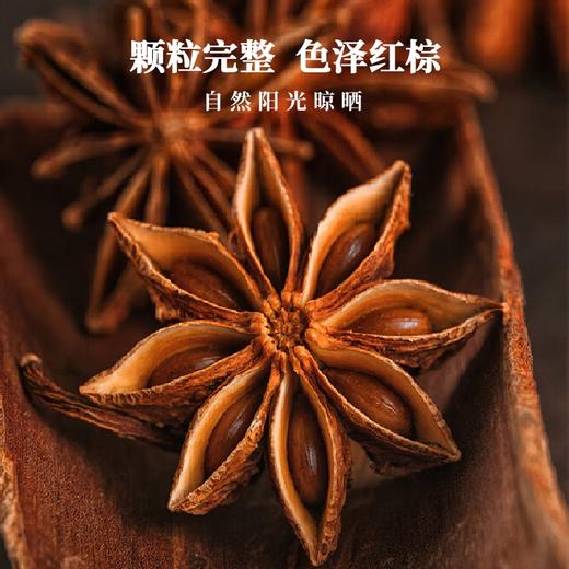 蜀渝天香八角30g 商品图0