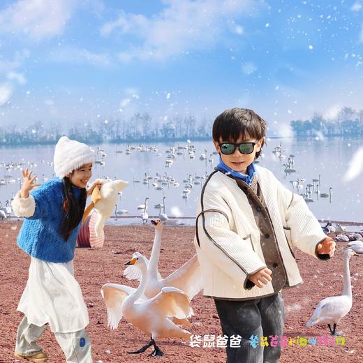 25年10月复团【袋鼠爸爸去哪儿 | 山西芮城住宿+门票亲子游】西安驱车两个半小时，住四星酒店，去圣天湖看万只天鹅齐飞，到永乐宫看元代彩绘壁画，感受1600年历史的烟火小城 商品图0