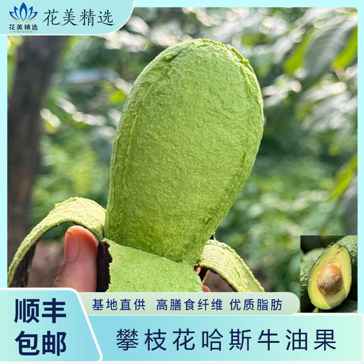 攀枝花哈斯牛油果 顺丰包邮 商品图0