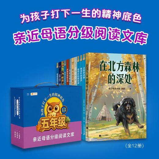 2025中文分级阅读五年级（全12册） 商品图0