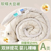 【抗菌除螨！原棉大豆被！】A类母婴抗菌原棉大豆纤维被子 加厚保暖被冬被芯 学生春秋棉被 商品缩略图12