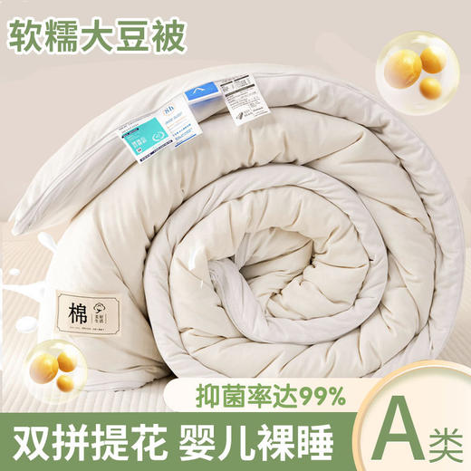 【抗菌除螨！原棉大豆被！】A类母婴抗菌原棉大豆纤维被子 加厚保暖被冬被芯 学生春秋棉被 商品图12