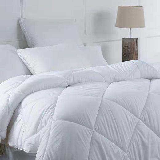 梦洁臻享十孔超柔被 200*230cm—rxs 商品图4