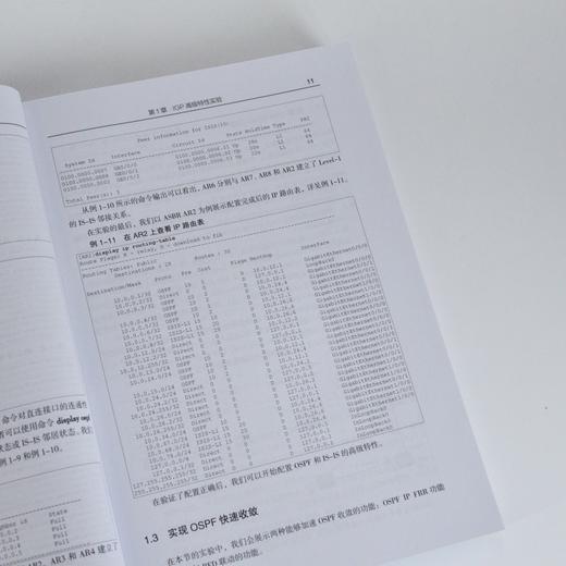 HCIE-Datacom实验指南 华为ICT认证系列 数据通信实验指南HCIE认证考试华为实战技术操作 商品图1