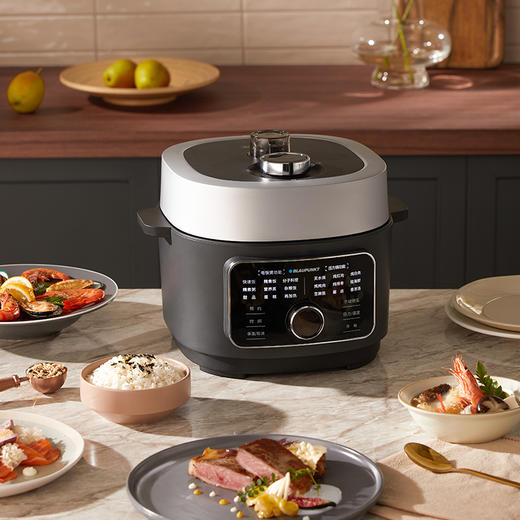 蓝宝低温料理饭煲家用电饭煲BP-FB02【鱼圈vip福利】 商品图0
