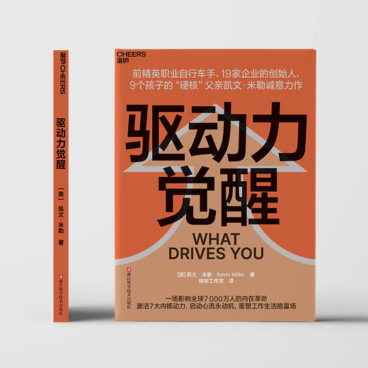 驱动力觉醒  理解自己内心的驱动力，一本用生命验证的驱动力指南！ 商品图2