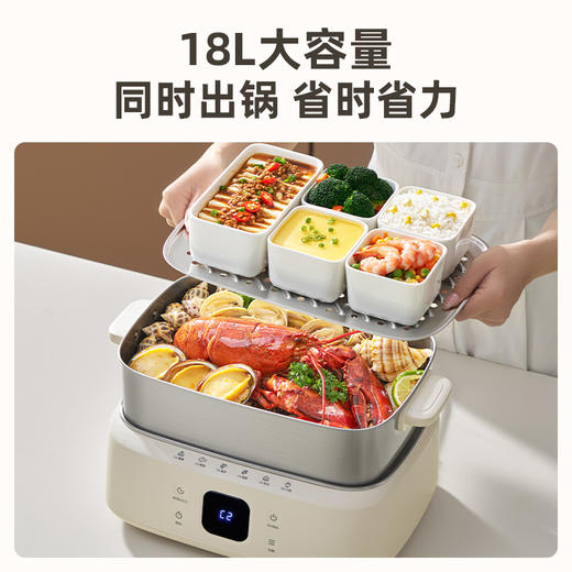 蓝宝多功能电蒸锅家用电热锅BP-ZG12 商品图1