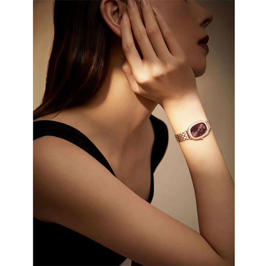 飞亚达倾城系列石英女表L865018.PKPD 商品图2