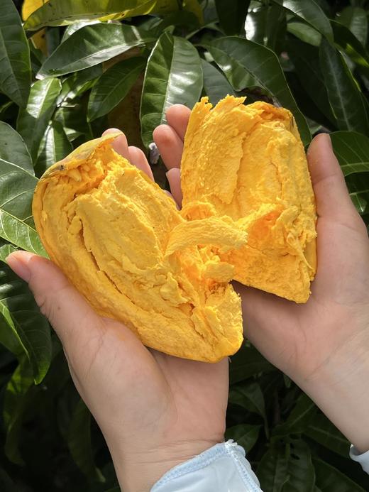 仙桃鸡蛋果 商品图1