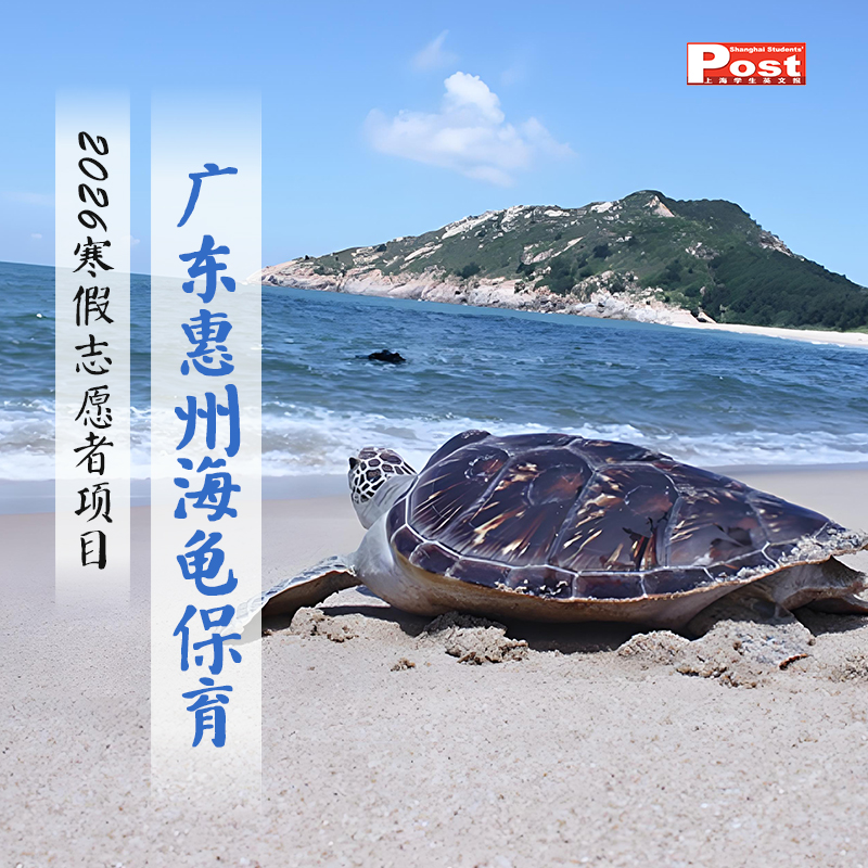 2026广东海龟保育志愿者活动（小记者专享）