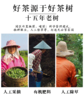 芒种英红九号 大份量一斤装 实惠口粮茶  英德红茶 无公害无农残无化肥 商品缩略图7