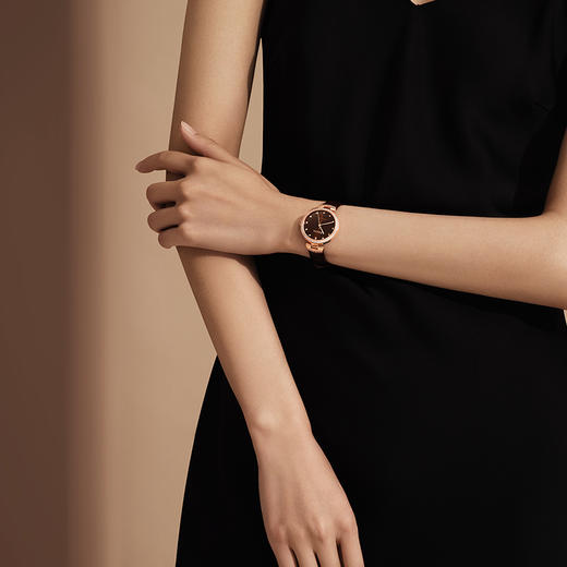 飞亚达心弦系列机械女表LA869015.PKKH 商品图1