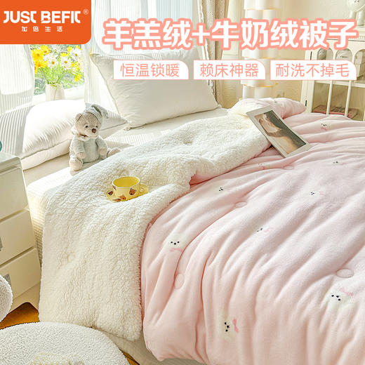 【品牌直发】加倍生活 日韩奶油可爱卡通被子 商品图0