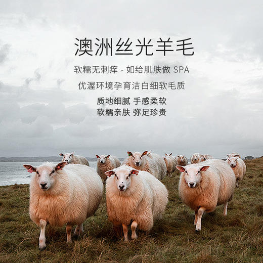 【利蜂鎏金奢暖莱赛尔羊毛背心】贴身背心 暖却不臃肿 保暖 舒适 蓄热 多效合一 商品图1