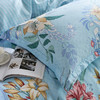 富安娜家纺 床品四件套 安巢芳菲 被套203*229cm 商品缩略图5