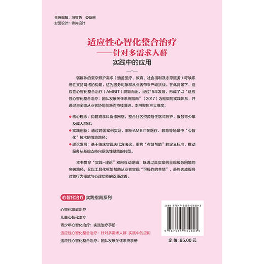 适应性心智化整合治疗 针对多需求人群 实践中的应用 心智化治疗实践指南系列 聂晶 主译 精神病学与心理健康 北京大学医学出版社 商品图2