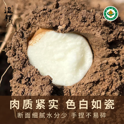 温释有机铁棍山药（基地直发-顺丰包邮）|4斤/盒，来自河南温县，生产者：温释【合作生产，公平贸易】 商品图6