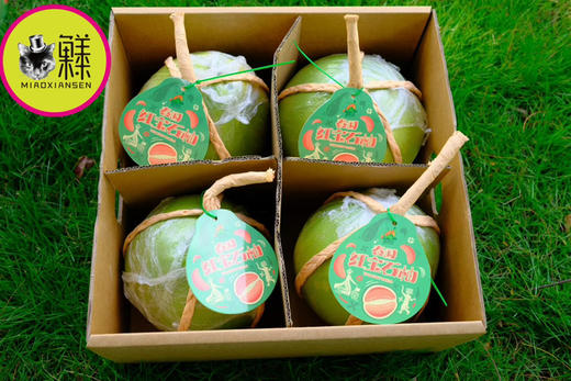 Mg基地～泰国红宝石柚（国产）肉嫩清甜 商品图5