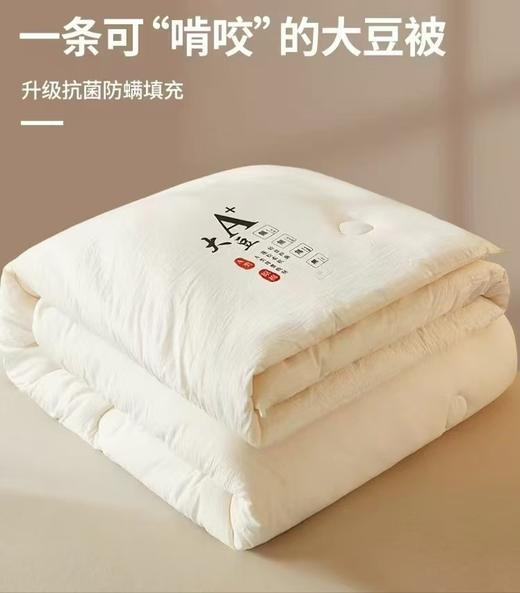 宜庭 双十一 纯棉四件套2.0*2.3 【送原棉春秋被2.0*2.3的一床】 商品图1