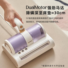 大宇DAEWOO  V2除螨仪pro-椰芋紫