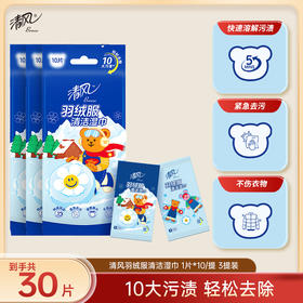 清风 wiggle联名羽绒服清洁湿巾10片3包 快速溶解污渍 不伤衣物 便携单片 48小时发货