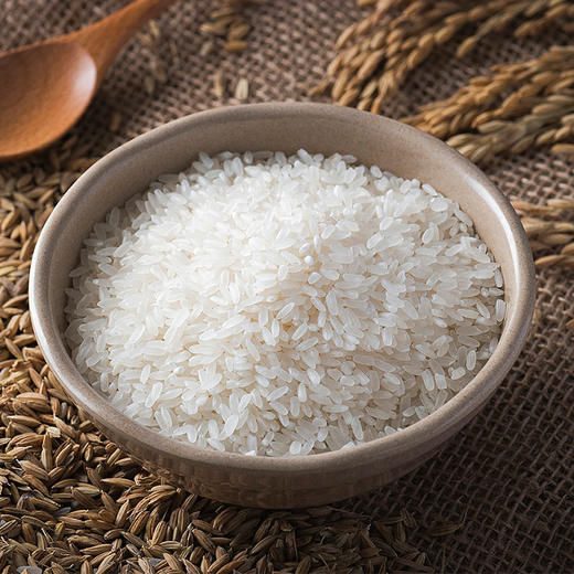 2025年新米 五常稻花香 自然农法 商品图0