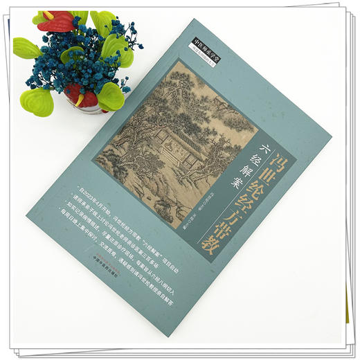 冯世纶经方带教:六经解案 冯世纶 主审 吴灿 主编 中国中医药出版社 中医师承学堂 临床 书籍 商品图1