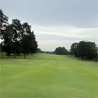 芭提雅·芭塔维亚世纪高尔夫俱乐部 Pattavia Century Golf Club ｜芭提雅高尔夫球场 | 泰国高尔夫球场俱乐部 商品图3