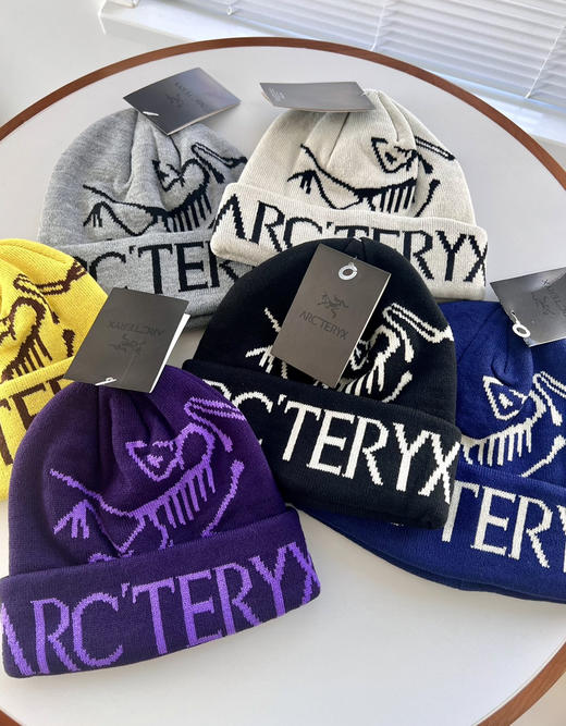 王一博同款鸟家冷帽针织帽 商品图0