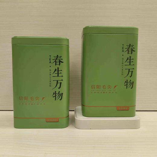1.3元1个【加高信阳毛J125克.绿】整箱200个.整箱包邮 商品图0