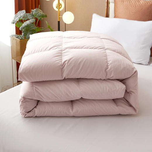 绒友 轻眠鹅绒春秋被 商品图3