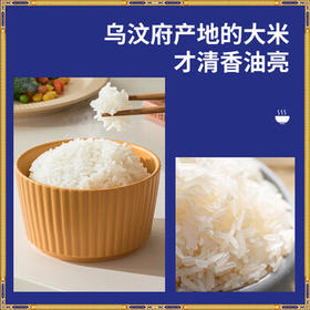南纳香泰国原装进口 乌汶府茉莉香米 10kg 长粒香大米20斤-火背鸟系列 /粮油调味 /米 /泰国香米