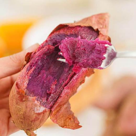 四拼红薯 商品图3