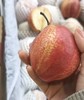 新鲜水果 新疆彩虹梨 8.5元/斤  2斤起售（多退少补） 商品缩略图2
