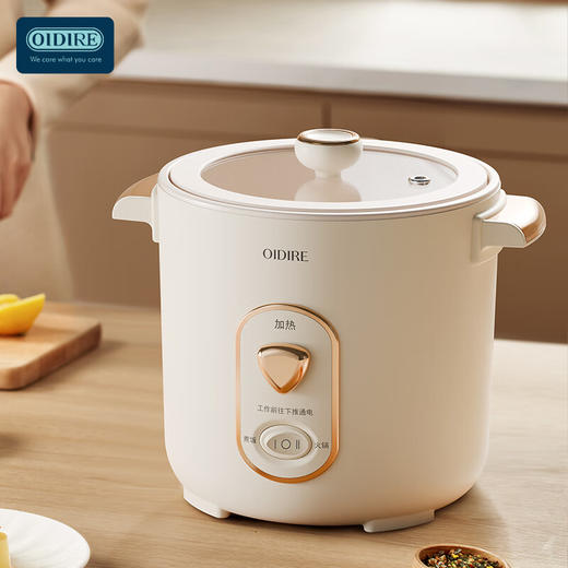 德国OIDIRE迷你电饭煲ODI-DFB9 商品图1