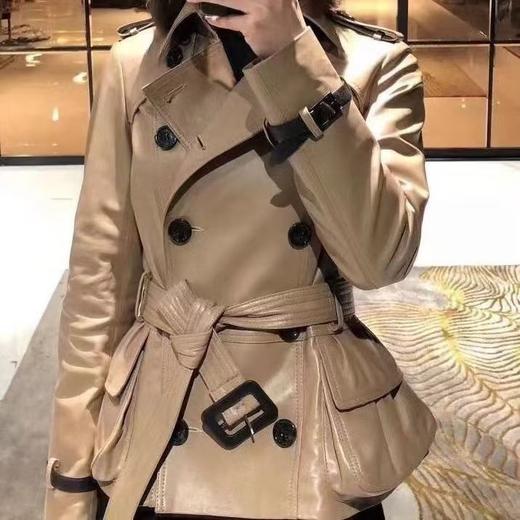 海宁真皮皮衣2025女中长款新款春秋韩版风衣修身绵羊显瘦外套 商品图2