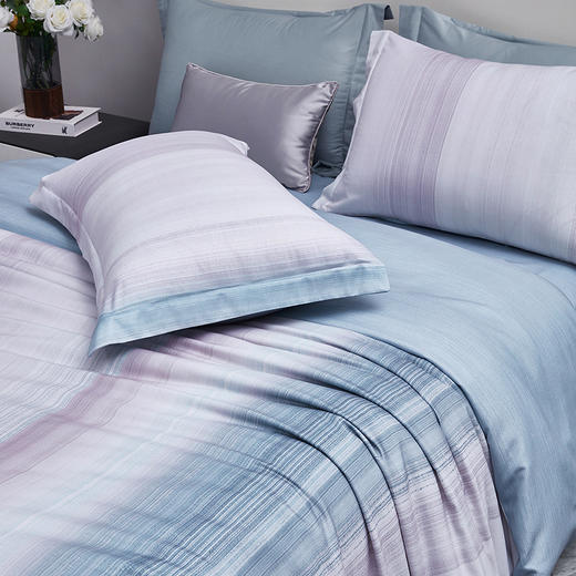 梦洁臻享超柔磨毛四件套：赫兹旋律 200×230cm—rxs 商品图2