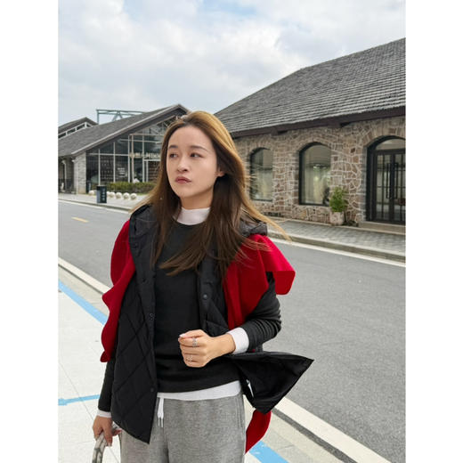 2510412   防水 轻薄 鹅绒马甲 商品图8