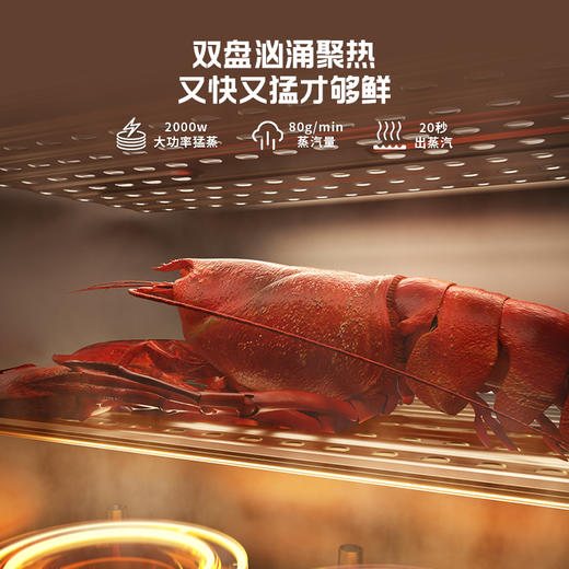 蓝宝双聚能速蒸电蒸锅家用电热锅BP-ZG13 商品图3