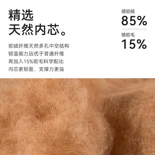 【十如仕】秋冬梭织立领驼绒保暖马甲-VT01-01 商品图7