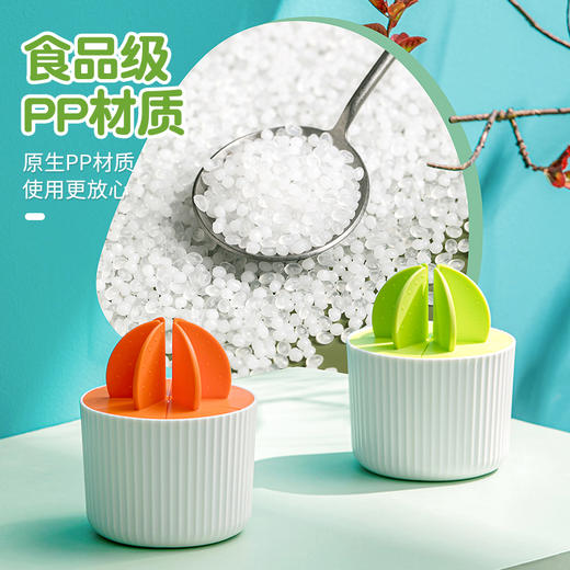 【茶花】植享冰棒模绿野仙踪DIY冰棒 商品图4